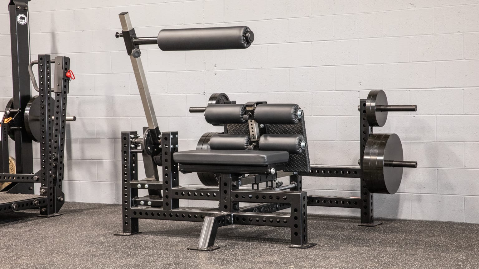 Inverse leg curl for sale discount